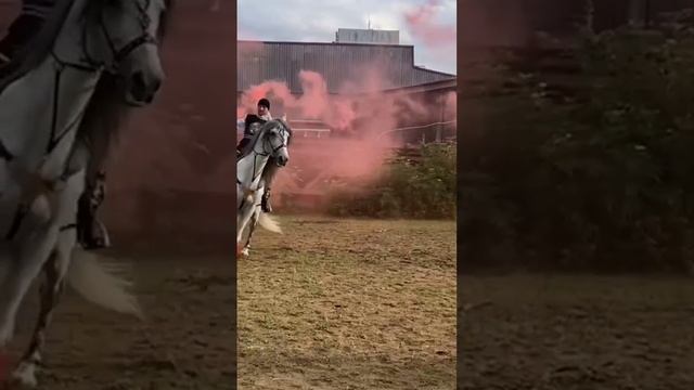 какова красота❤🐴 AzzArt