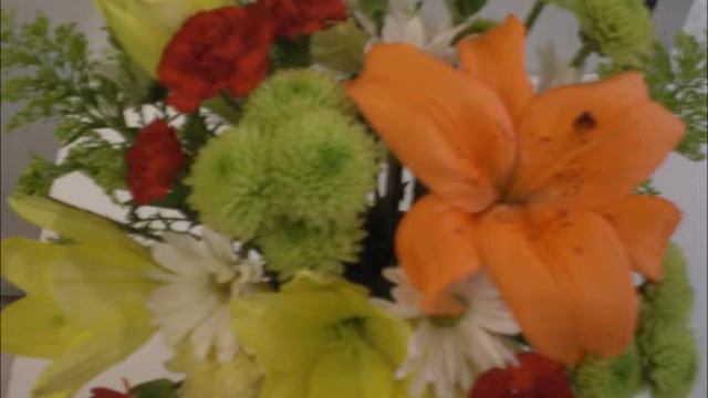 Nice Flowers Photos    Roses Pink Lily   #Subscribe PLS