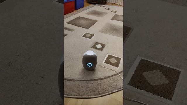 МОЯ умная капсула Маруся.