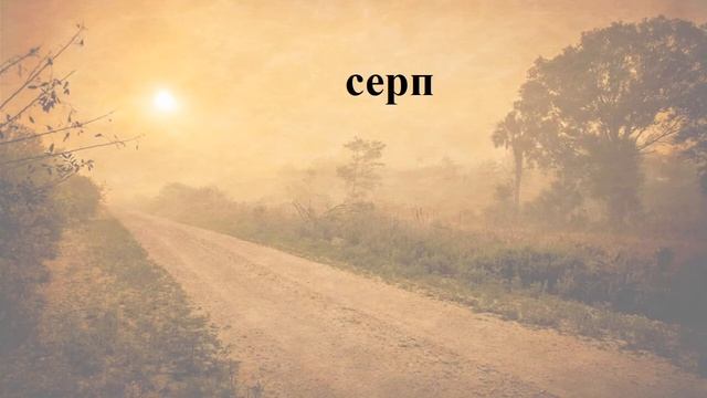 Тренажер читання (швидкочитання). 4 букви (частина 6).