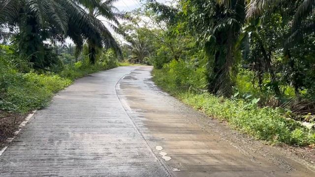 Филиппины - деревня / что не показывают блогеры/