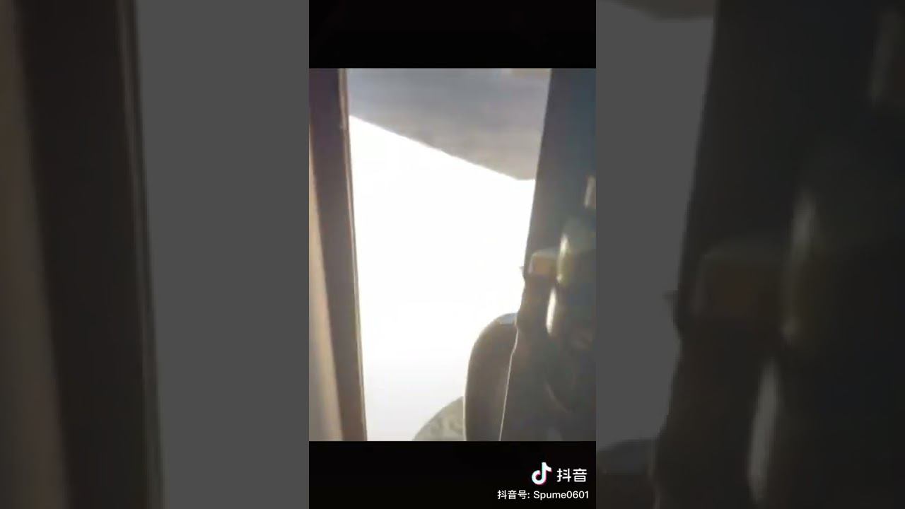 ♡ Милые и очаровательные домашние животные.