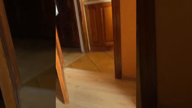 My Beast??моя бестия