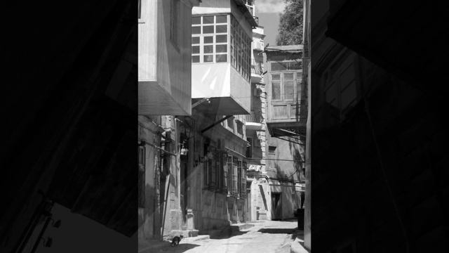 Сказки Старого Города