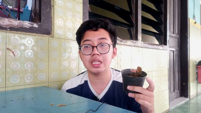 Syngonium Strawberry Ice Cuman 35rb?! || Unboxing! #syngonium #plantshaul