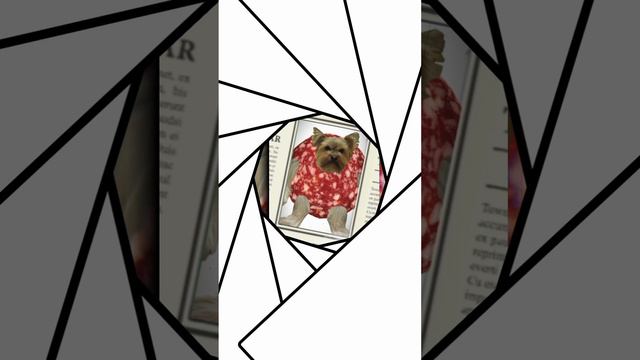 Буська♥️#Буся #Буська #видео #shorts