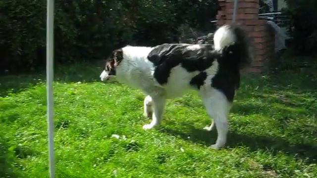 868718620cec2dc11260ff7913bd419a