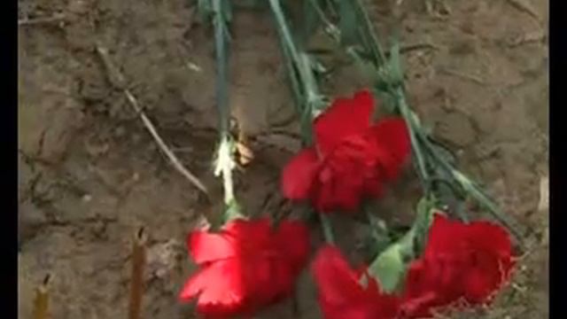 В результате «Вахты Памяти» в Смоленской области установлены имена 16 воинов