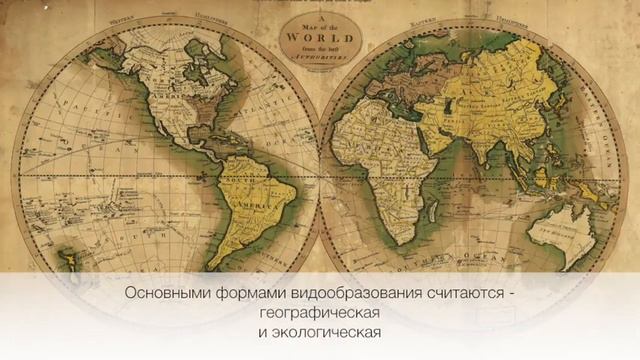 Вид и видообразование