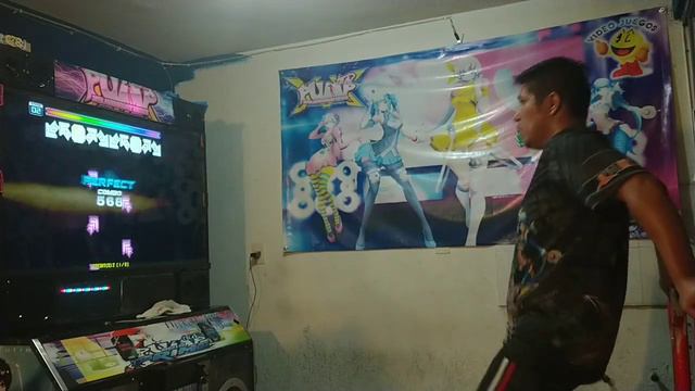 ADANGER Clematis Rapsodia Double - 19 Hj