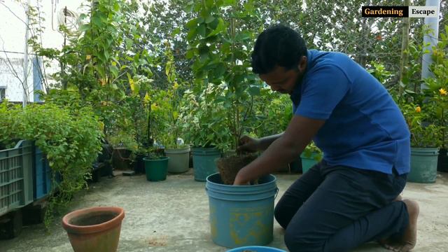 B832da251ad4dafebecfb08e868b8aae