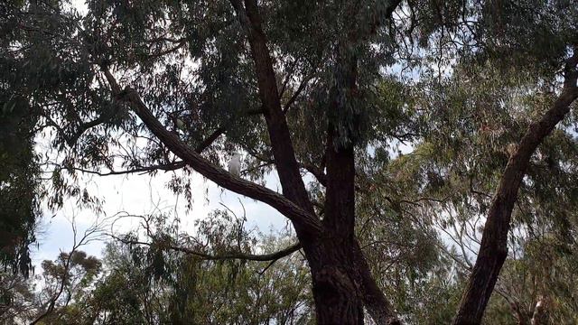 E7e805cd918d10029c2b6b697a537aea