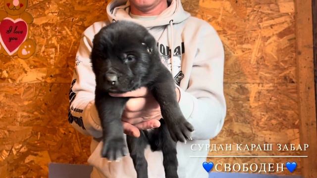 184a1b51cbfe766483c929cdaad7c99d