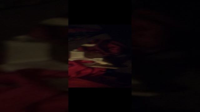 Розыгрыш костюма