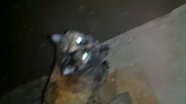 3138f11c8a1ffc407326aa333270f050