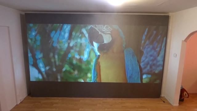 GET OUT OF THE DARK WITH OUR IMMERSE 4K CINEMA PROJECTION SCREENS