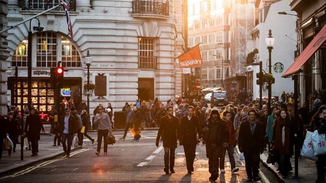Купив перепелиное яйцо, она положила его в клетку к попугаю. Вот, что вышло!