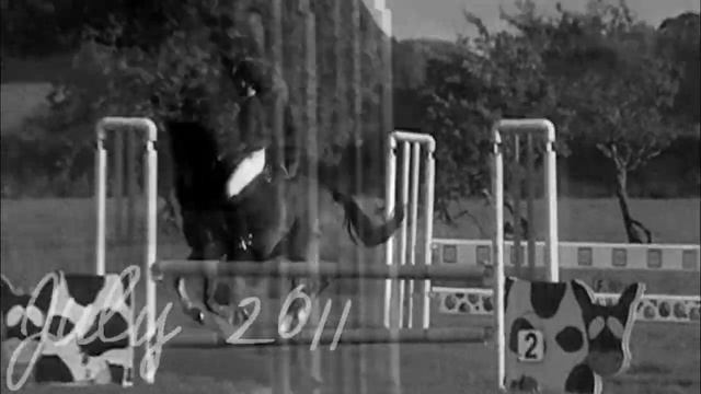 Goodbye Charlie; 'I Never Meant To Let You Go' ♥