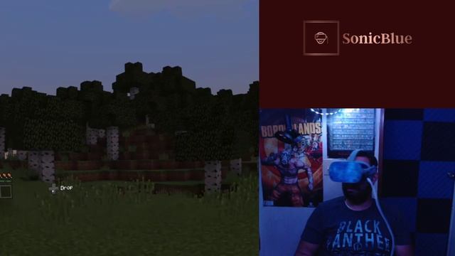 Free Minecraft VR On Oculus Go & Oculus Quest