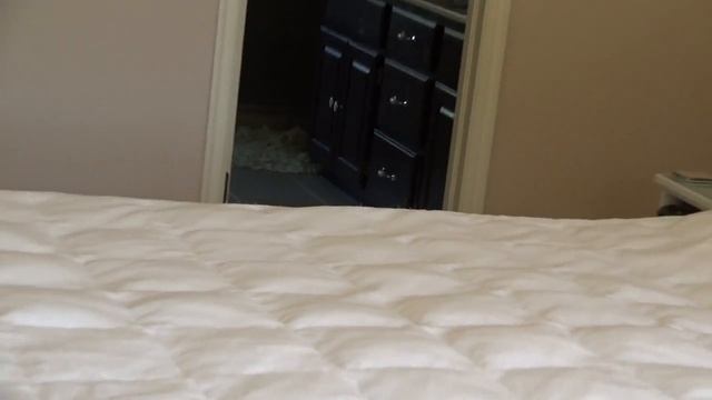 GS523 Одеяло, которое стоит внимания.