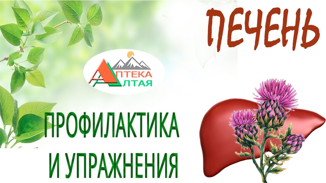 Печень. Профилактика и упражнения.