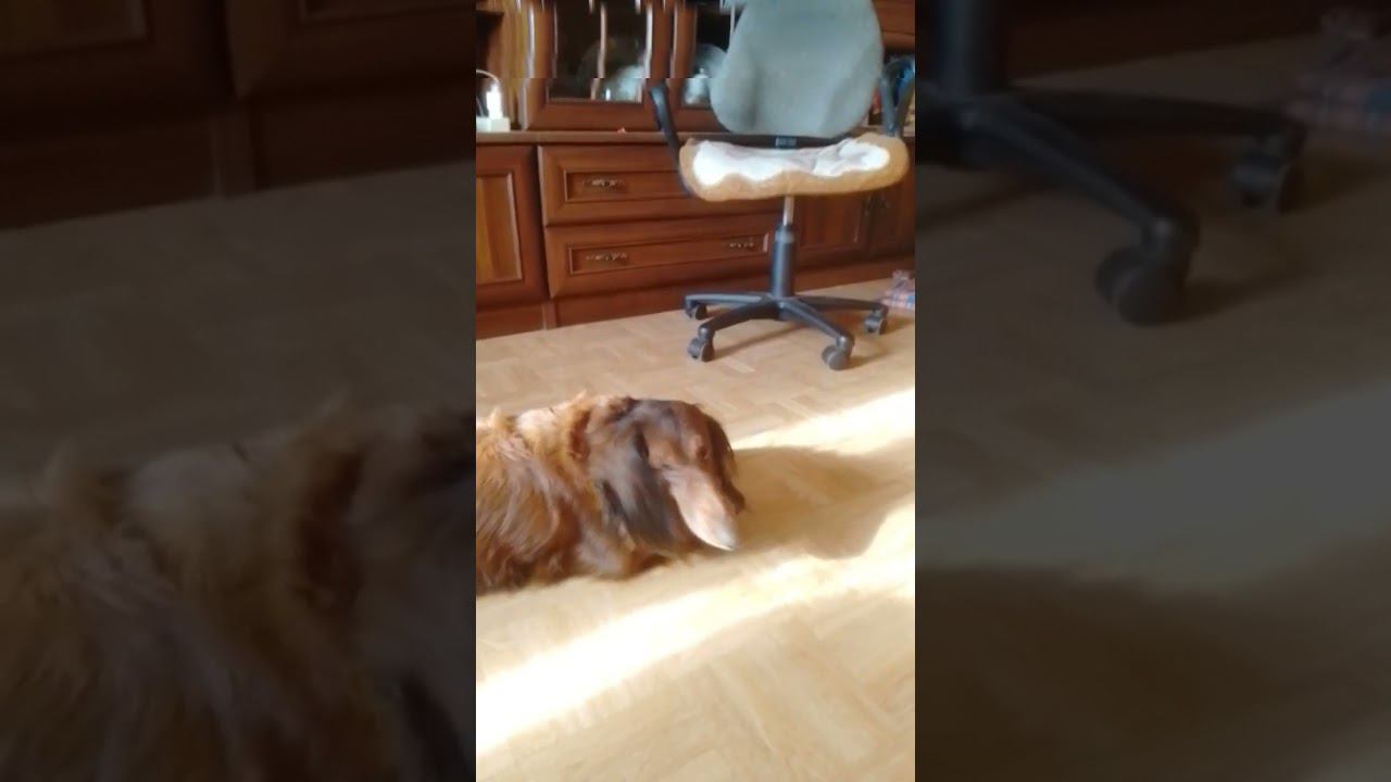 0e92be4150d35661125551b2236fdbde