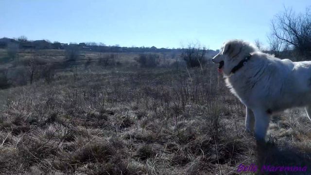 7ccb14e86de5619a9355fe4892837347