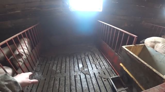 Мойка клетки / Обзор коптильной камеры