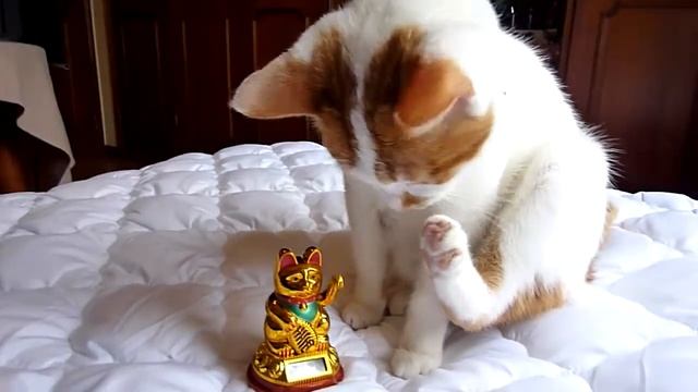 Японский кот удачи