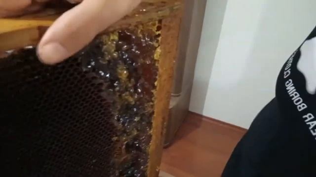 BAL SAĞIMI / KOVANDAN KAVANOZA BIR ŞİFA HİKAYESİ