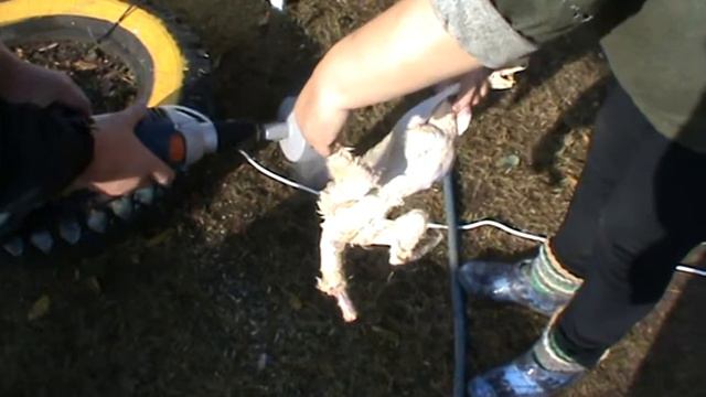 Удаление пеньков утки перосъемной насадкой Ёрш-1 от Спрут Технолоджи