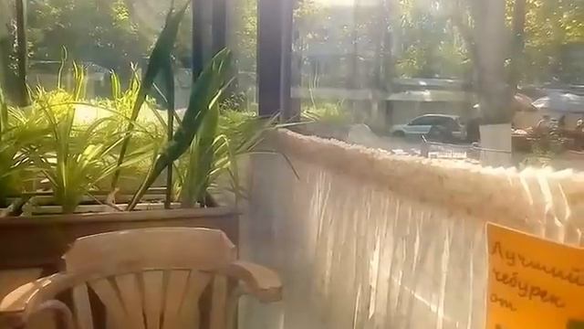 Рябина от цистита и бородавок-остановись и вздохи ДНЕПРОВСКИЙ РЫНОК