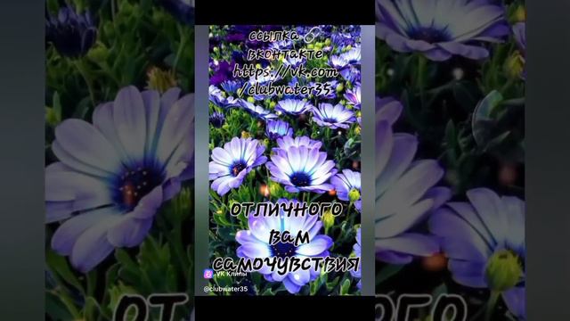 Реклама для вас