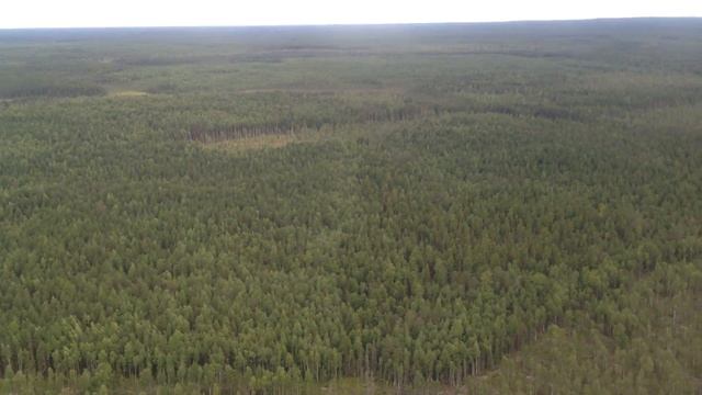 Западная Сибирь - 1