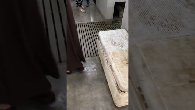 7ec45e17ba5427d1b7ac7303872df35c