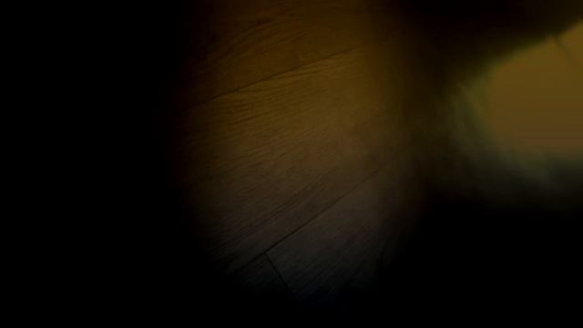 American Horror Story (Metal Cover By Artem Zebrev) / Симфония Гитар №5