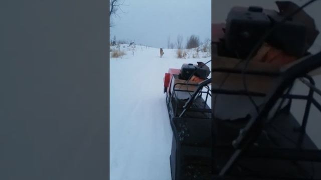 Собака против Мотособаки)