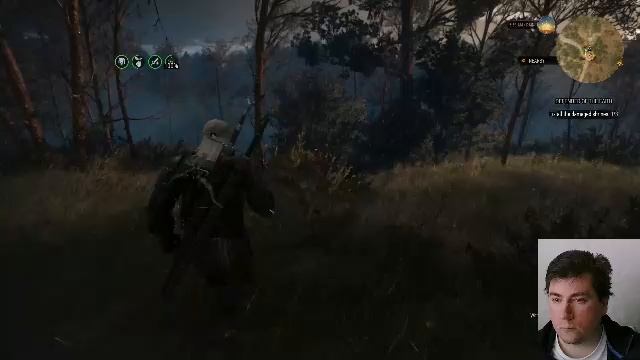 Игровые стримы: Ведьмак 3(часть 9)