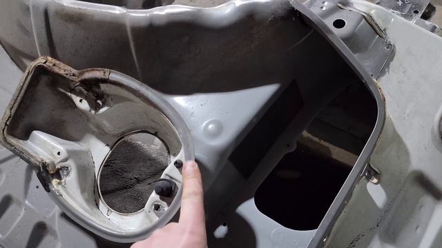 Грибная фантазия: лесные изыскания