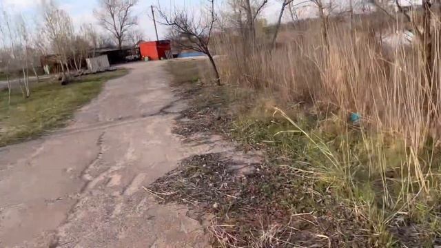 Чем занимаюсь дома с Шишуней  когда отдыхаю . И отвечаю на вопросы,