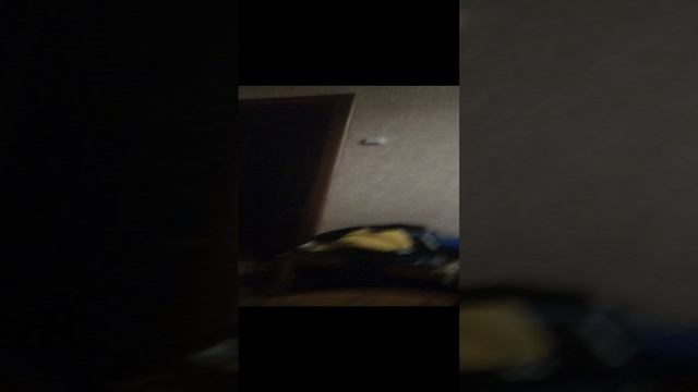 Маленький Дубай трейлер.3gp