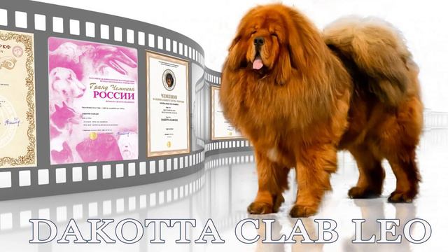 Питомник ТМ 