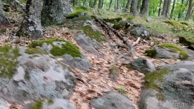 D141c1c5426c0277991371df9eb4d8e6