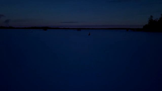 17d3c5a6cdd997ac133b7768d762464a