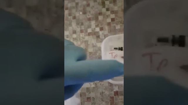 Опыты над тараканами продолжается!!Выбираем правильные инсектициды!!
