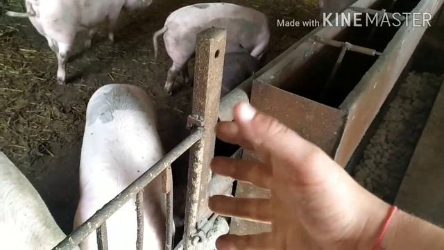 Заливаем Канавку для стёка