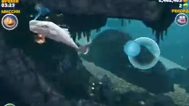 Кашалот убийца