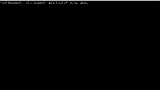 Ubuntu Server Configuring Puppet