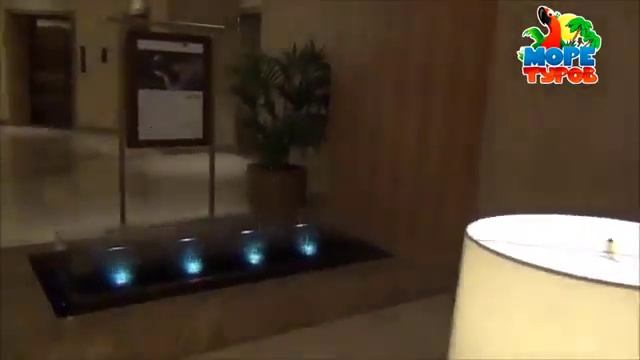 Be707e7e7e6e00e5cee99dd79849b95e