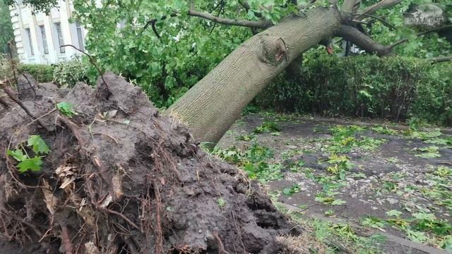 Последствия_урагана_4K_HIGH_FR60.mp4